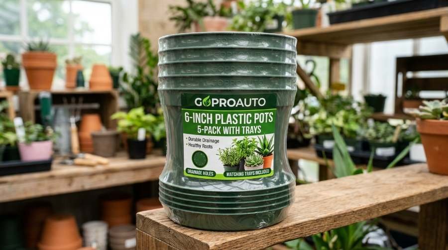 best indoor plant pots for beginners
