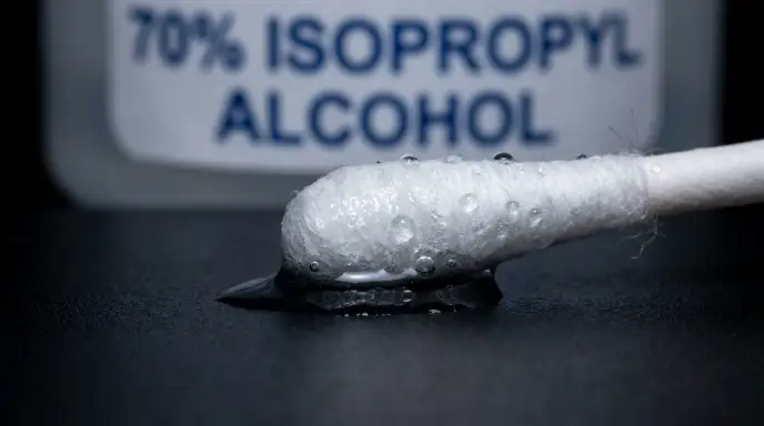 Dabbing 70% isopropyl alcohol onto a mealybug hidden in the leaf axil of a houseplant using a cotton swab.